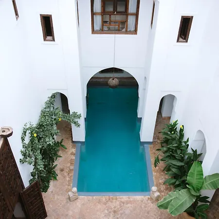 Riyad El Cadi-2
